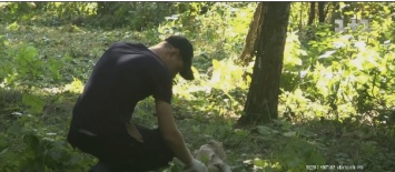 В Киевской области убили лесничего: подозревают браконьеров