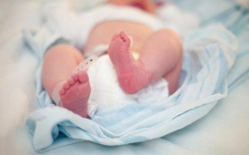 В Павлоградском роддоме установили систему, способную вовремя выявлять пороки развития у новорожденных