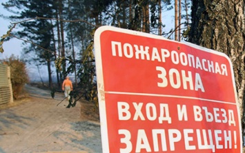Павлоградцев будут штрафовать за автопрогулки по лесу