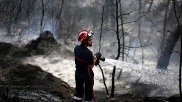 Пожары во Франции: поджог устроили двое несовершеннолетних