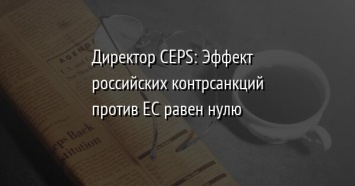 Директор CEPS: Эффект российских контрсанкций против ЕС равен нулю