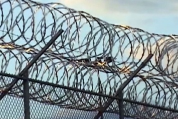 Более 10 заключенных совершили побег из тюрьмы в США