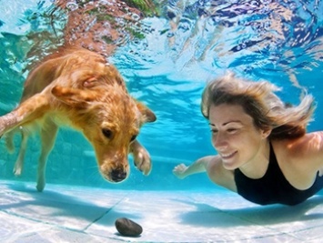 Млекопитающие умеют плавать, но есть странное исключение