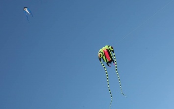 В Скадовске проходит красочный фестиваль воздушных змеев