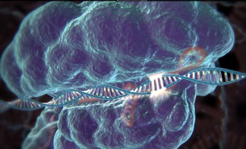 Впервые в ДНК человеческого эмбриона заменили ген, отвечающий за болезнь