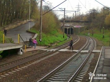 Депутат Киевсовета просит обустроить освещение "собачьей тропы" к метро Берестейская