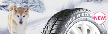Interpneu развивает линейку зимних шин торговой марки Platin