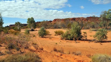 В Австралии турист выжил в пустыне благодаря телепередаче
