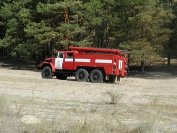 Спасатели четырех областей тушили масштабный пожар в лесу (Фото)
