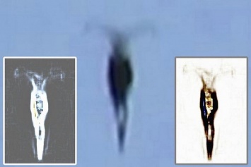 Уфолог и охотник за НЛО из Теннеси снял странный "летающий гуманоид" (ВИДЕО)