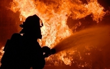Пожар на Днепропетровщине: загорелся цех на маслобойне