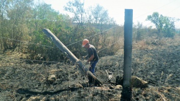 Сгоревшие столбы и оборванные провода: фото после пожара у Троицкого