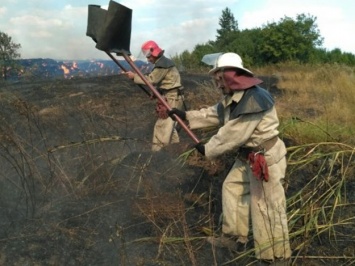 Пожар: самолеты сбросят полсотни тонн воды на горящий под Харьковом лес