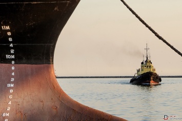 Бердянский порт будет вынужден отказаться от больших судов