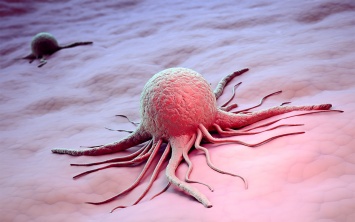 Новая терапия уничтожает раковые клетки за несколько дней
