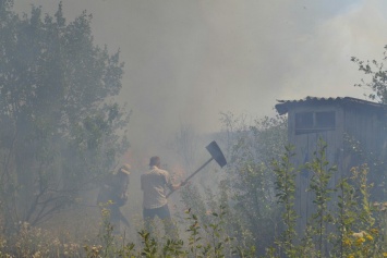 "Таких пожаров у нас никогда не было!": жители ОРЛО напуганы чередой возгораний (фото)