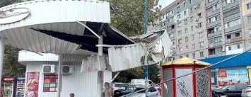 В Николаеве во время сильного ветра дерево рухнуло на остановочный комплекс (ФОТО)