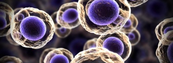 Ученые выяснили влияние наночастиц на клетки организмов