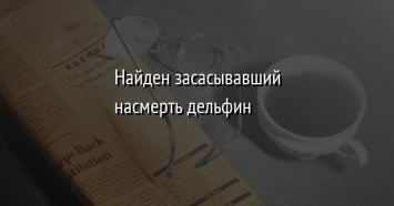 Найден засасывавший насмерть дельфин