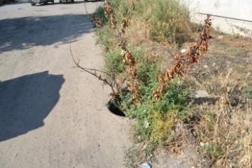 В городе снова появились «ловушки» (фото)