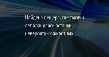 Найдена пещера, где тысячи лет хранились останки невероятных животных