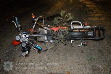 Смертельное ДТП на Волыни: байкер влетел в поваленное ураганом дерево