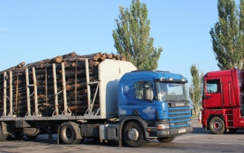 На Херсонщине поймали браконьера, уничтожавшего дубы