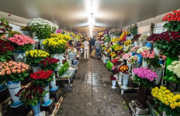 Почем цветы накануне 1 сентября в Запорожье (ФОТО)