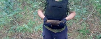 Найденные под Кременчугом боеприпасы уничтожили на специальной площадке (ФОТО)