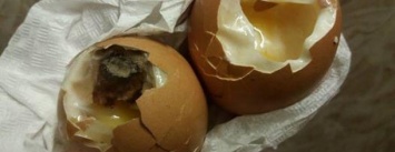 В каком днепровском супермаркете продают тухлые яйца