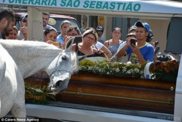 Конь пришел на похороны хозяина. Когда зверь зарыдал, у людей отняло дар речи... (фото, видео)