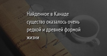 Найденное в Канаде существо оказалось очень редкой и древней формой жизни