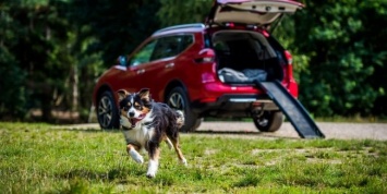 Nissan X-Trail приспособили для перевозки собак