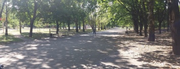 В Запорожье в парке Трудовой Славы появится Аллея выпускников, - ФОТОРЕПОРТАЖ