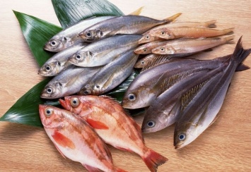 Рыба-убийца: как морепродукты ставят под угрозу наше здоровье (ФОТО)