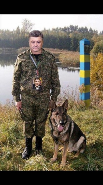 "Безумный Михо" и Порошенко с собакой. Соцсети заполнили фотожабы на приезд Саакашивили