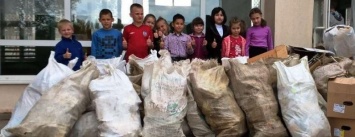 Как в криворожских школах сортируют мусор и зарабатывают на вторсырье