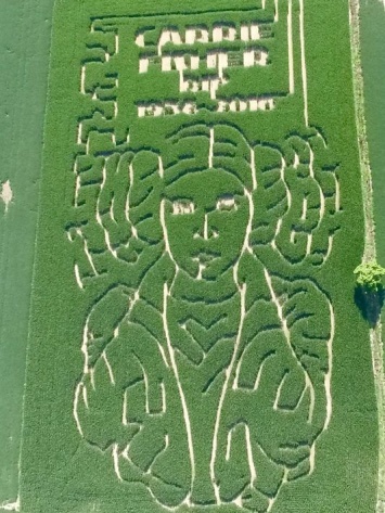 В США на кукурузном поле появился портрет принцессы Леи из "Звездных войн"