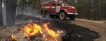 В Приазовье порядка 30% охотугодий пострадало от пожаров. Живность перекочевала к населенным пунктам
