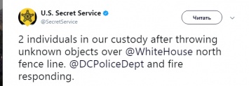 В Вашингтоне арестовали двух человек, забросивших коврик для йоги на территорию Белого дома