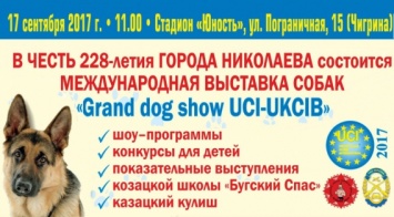 В городе Николаеве готовят международную выставку собак