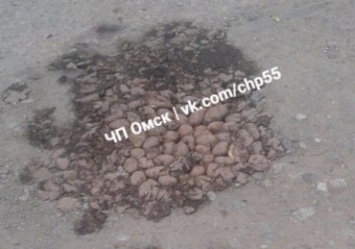 В России ямы на дорогах заделывают картофелем