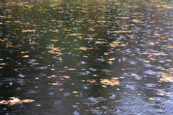Неделя в Херсонской области завершится дождями и грозами