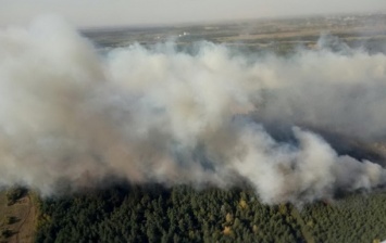 В Харьковской области горит 70 га леса
