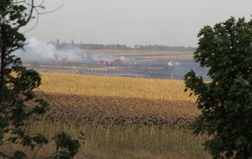 Появилось видео последствий пожара под Мариуполем