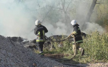 В городском парке Павлограда загорелся мусор (ФОТОФАКТ)