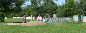 В Павлограде коммунальщики не справляются с удалением деревьев на кладбищах
