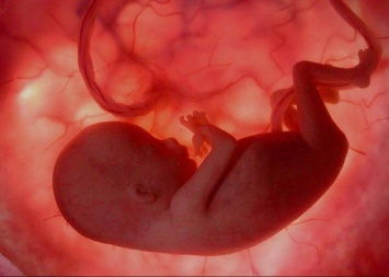В Китае провели операцию по редактированию генома эмбриона