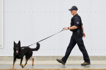 В Канаде полицейский пес выстрелил в грабителей из пистолета