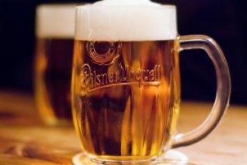 И много-много пива: в Чехии отмечают рождение Pilsner